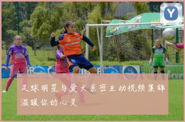 足球明星与爱犬亲密互动视频集锦温暖你的心灵