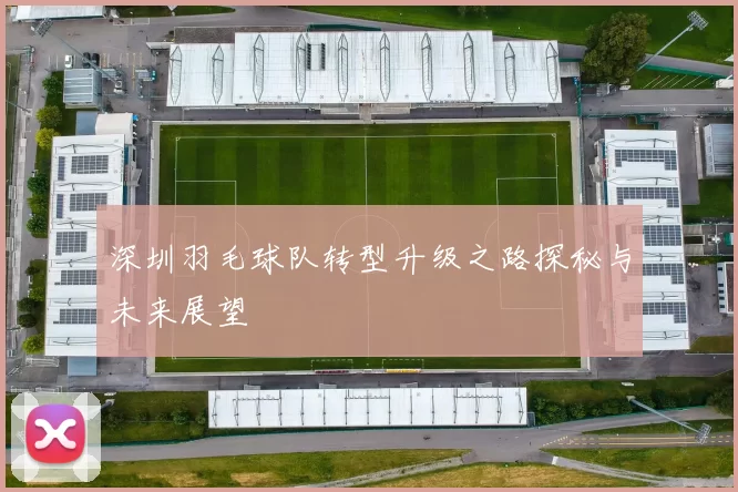 深圳羽毛球队转型升级之路探秘与未来展望